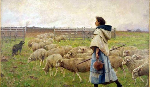 Seis meses de prisión por agredir sexualmente a una pastora de cabras en Salta