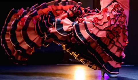Curso de flamenco en las vacaciones en Salta