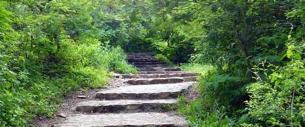 Nuevo operativo de limpieza en el cerro San Bernardo de Salta