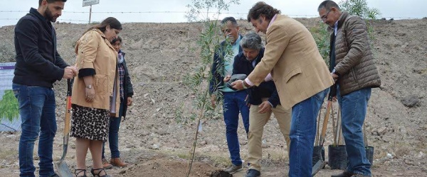 La Municipalidad de Salta planta 280 árboles en el vertedero San Javier