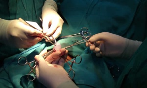 Hiperactividad castracional en Villa Mitre
