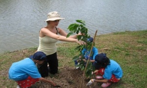 La Municipalidad celebra el Día del Árbol plantando 20 jaboneros