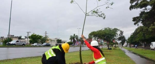 Sáenz sube la apuesta y deja su cargo de Intendente con más de 14.000 árboles plantados en Salta