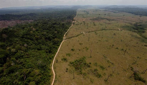 La deforestación, una de las causas de la tragedia en Colombia