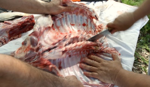 El gobierno de Salta decomisó más de una tonelada de carne en abril