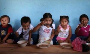 El cambio climático causa malnutrición e inseguridad alimentaria a millones de personas