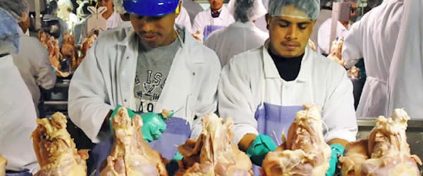 La Argentina podrá exportar carne de ave a Canadá