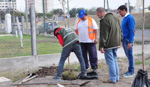 La Municipalidad planta 64 molles en el barrio Primera Junta de Salta