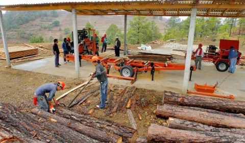 Funcionarios nacionales presentan en Salta un censo de aserraderos