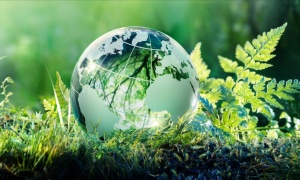 La hora de la Naturaleza