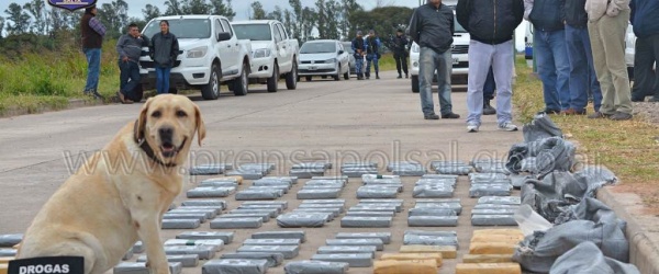 La Policía de Salta se incauta de más de 7 kilos de cocaína en un control de carretera