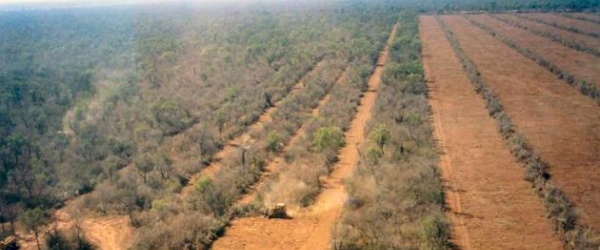 Salta se expone a los desastres naturales por los desmontes y los negocios millonarios