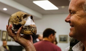 Homo Naledi, una nueva especie del antepasado humano descubierta en Sudáfrica