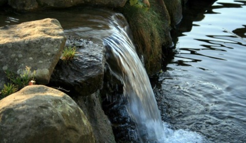 Se celebra hoy en la Argentina el Día Nacional del Agua