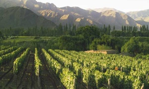 Salta lanza su campaña turística de verano en la Feria Internacional de Turismo
