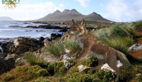 Día Mundial del Medio Ambiente y la biodiversidad en las Islas Malvinas