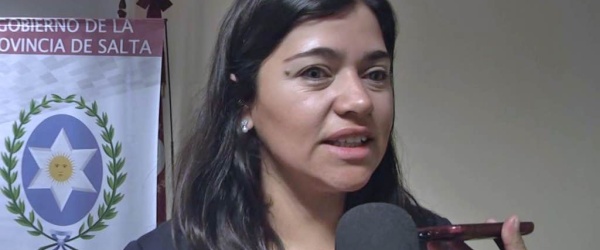 Feministas a sueldo del gobierno buscan colocarse como asesoras de incapaces antes de que Urtubey deje su cargo