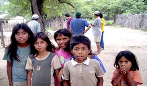 Salta, entre las provincias que mantienen conflictos indígenas sin resolución, según AI