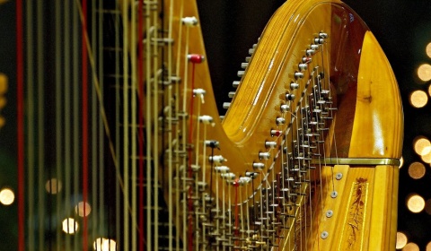 Concierto solista para arpa con Carolina Varvará en el ciclo 'Músicos de la Orquesta Sinfónica en vivo'