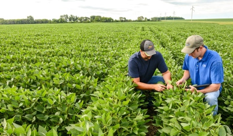 Se celebra hoy el Día Mundial de la Agricultura
