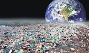 Hacia un mundo sin contaminación