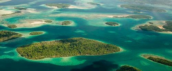 Día Mundial del Medio Ambiente: 'Alza tu voz, no el nivel del mar'