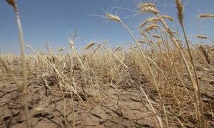Plan para la revitalización de los suelos en Sudamérica