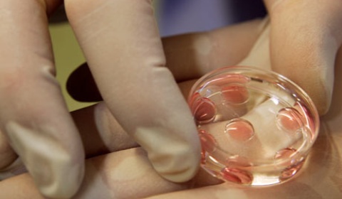 Una jueza de Salta condena a una obra social a cubrir un tratamiento de fertilización in vitro