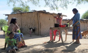 El ‘indigenismo caviar’ intenta influir en los asuntos de Salta