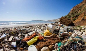 Se celebra hoy el Día Mundial de los Océanos 2016