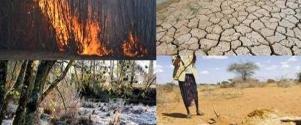 El cambio climático acelerado traerá amenazas ambientales extraordinarias