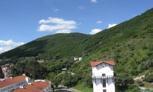 Un centenar de nuevos voluntarios ambientales para la reforestación del Cerro San Bernardo