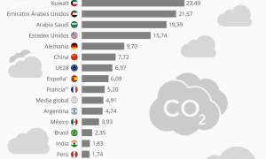 La contaminación del aire mata