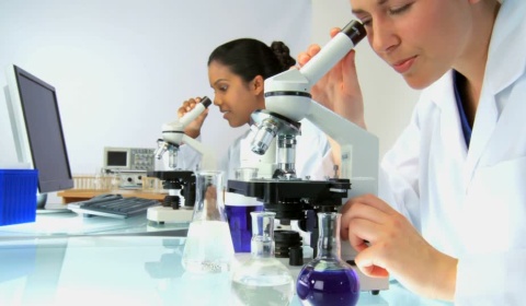 Semana Internacional de la Ciencia y la Paz