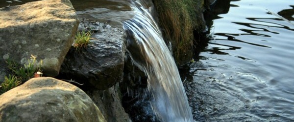 Se celebra hoy en la Argentina el Día Nacional del Agua