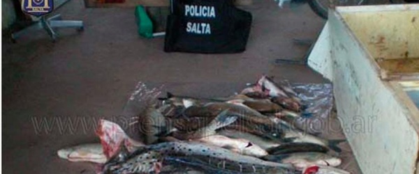 La Policía de Salta incinera sábalos, surubíes y bagres secuestrados en un operativo
