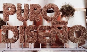 Salta, presente en la feria PuroDiseño 2016