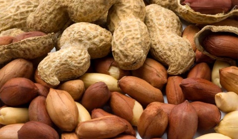 El 80% de la producción de maní argentino es para la exportación