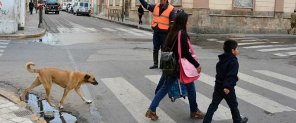El próximo fin de semana se celebrará en Salta el 'Dog Day'