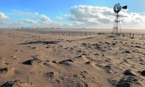 17 de junio, Día Mundial de la Lucha contra la Desertificación y la Sequía