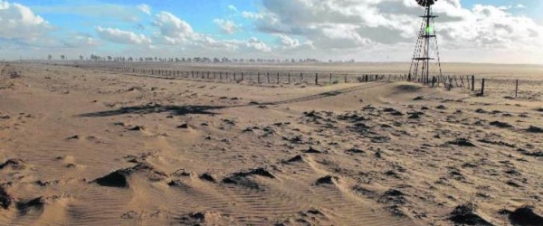 17 de junio, Día Mundial de la Lucha contra la Desertificación y la Sequía