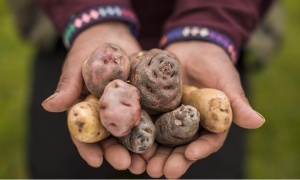 18 de junio: Día de la Gastronomía Sostenible