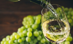 Charla sobre el Chardonnay con Carlos González en el ciclo 'Cepas' del Museo de la Vid y el Vino