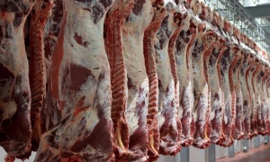 El gobierno nacional fija las condiciones para repartir 29.500 toneladas de carne de Cuota Hilton