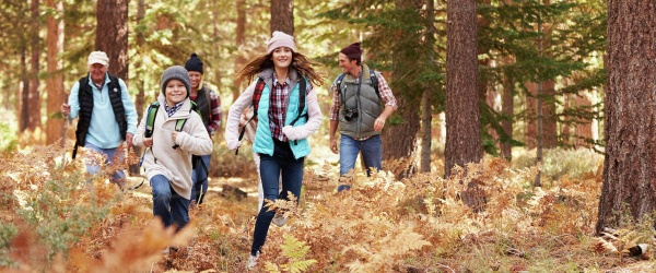 Investiga, explora, maravíllate y aprende sobre los bosques