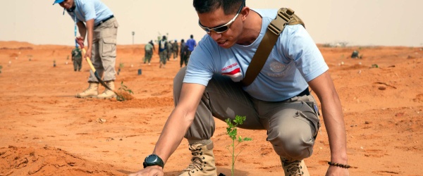 El medio ambiente, la víctima olvidada de la guerra