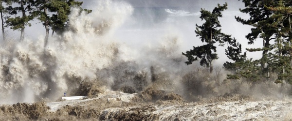 Día Mundial de Concienciación sobre los Tsunamis: Un riesgo que se puede reducir