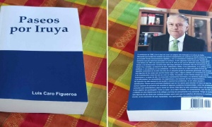 Aclaración necesaria sobre los asistentes a los debates de la reforma constitucional en Salta