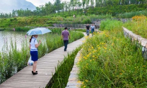 Los humedales y la biodiversidad