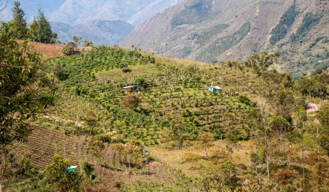 Aumenta el hambre en las áreas de montaña del mundo